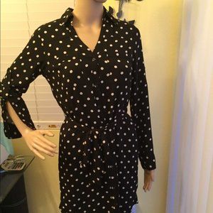 Express Button Down Dress Shirt